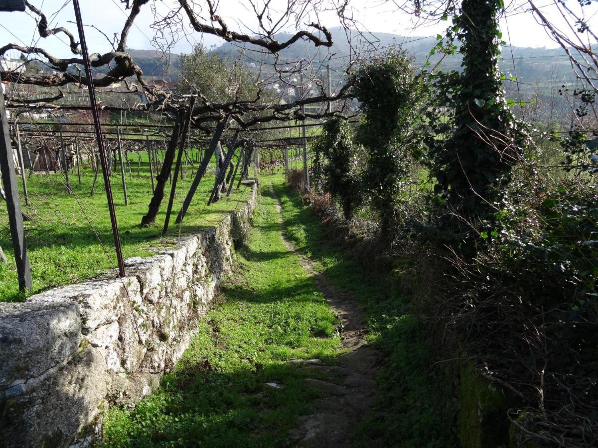 Quinta de S. Cipriano Resende Exterior foto