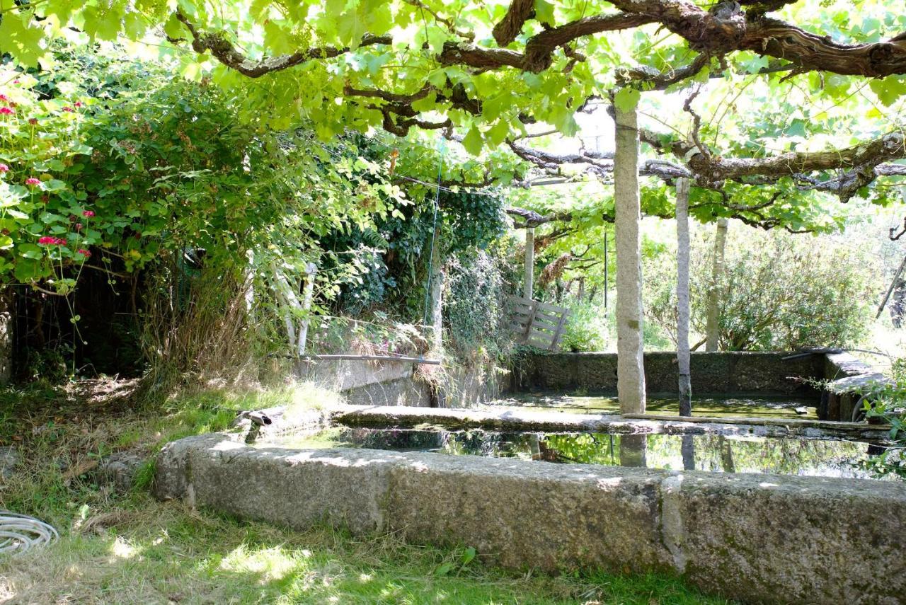Quinta de S. Cipriano Resende Exterior foto
