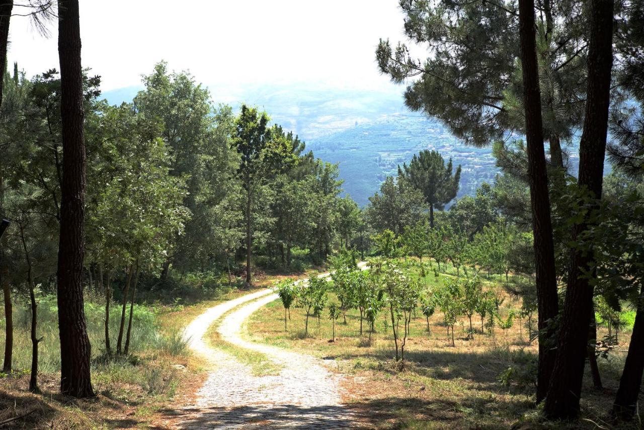 Quinta de S. Cipriano Resende Exterior foto