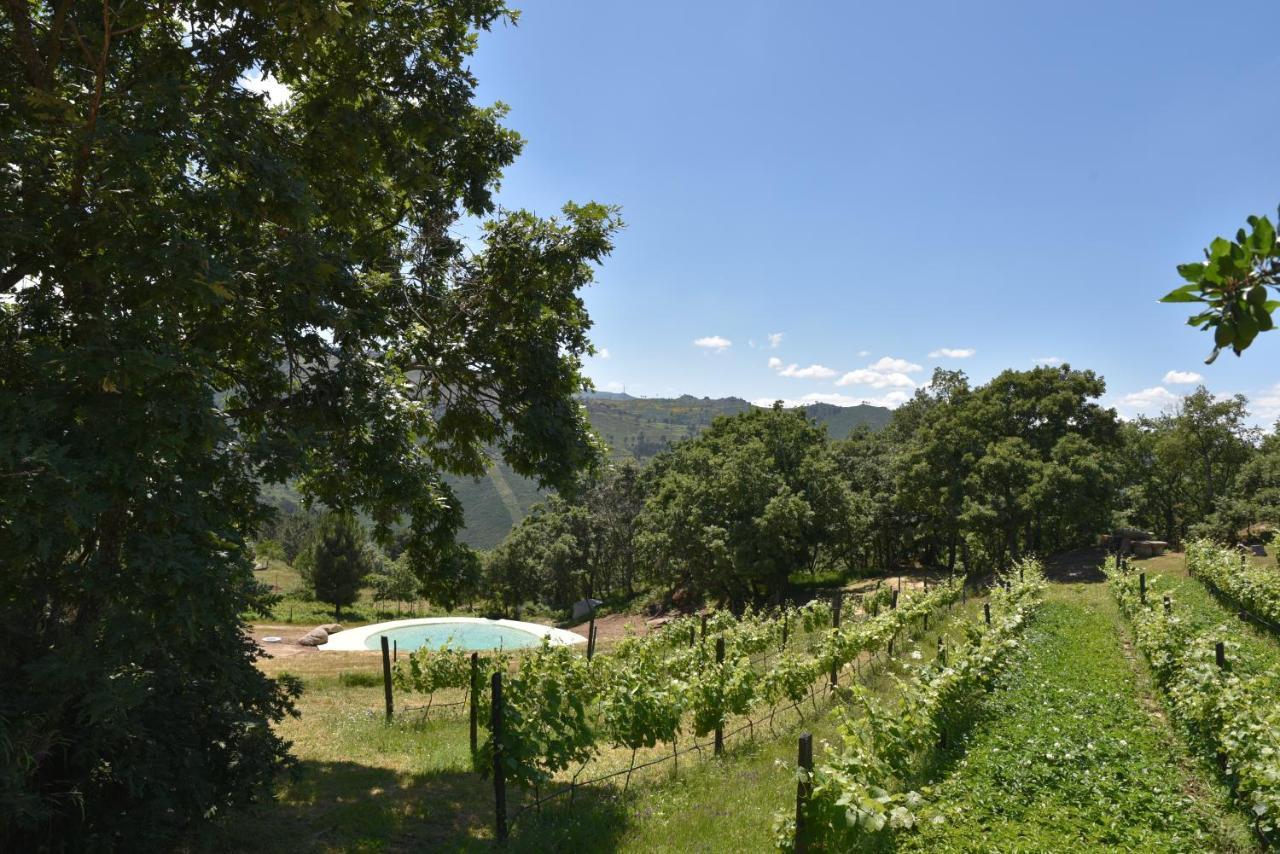 Quinta de S. Cipriano Resende Exterior foto